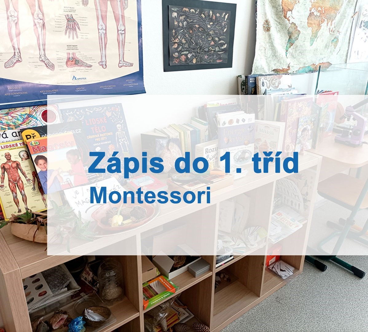 Zápis krok za krokem - třídy s Montessori výukou